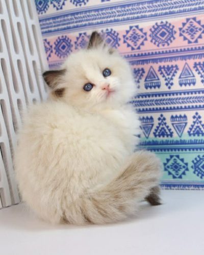 f849e110-14e8-4995-8ddc-ce79d9df1831